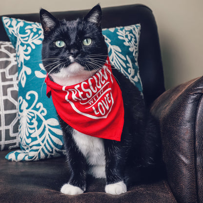 Encourage Adoption By Sending Bandanas & Vests to Furry Friends