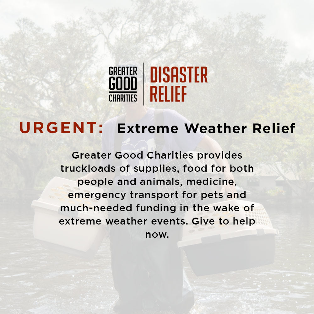 Help People and Pets Hit by Extreme Weather