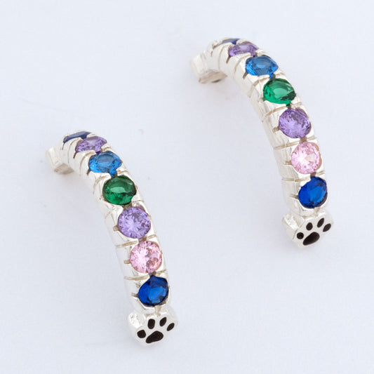 Rainbow Bridge Paw Print Earrings