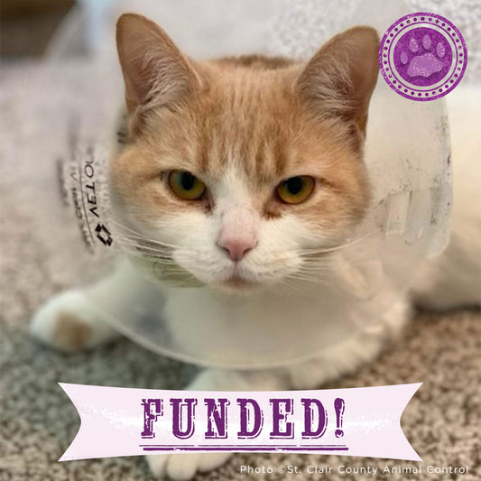 Funded - Help Penelope Play Without Pain