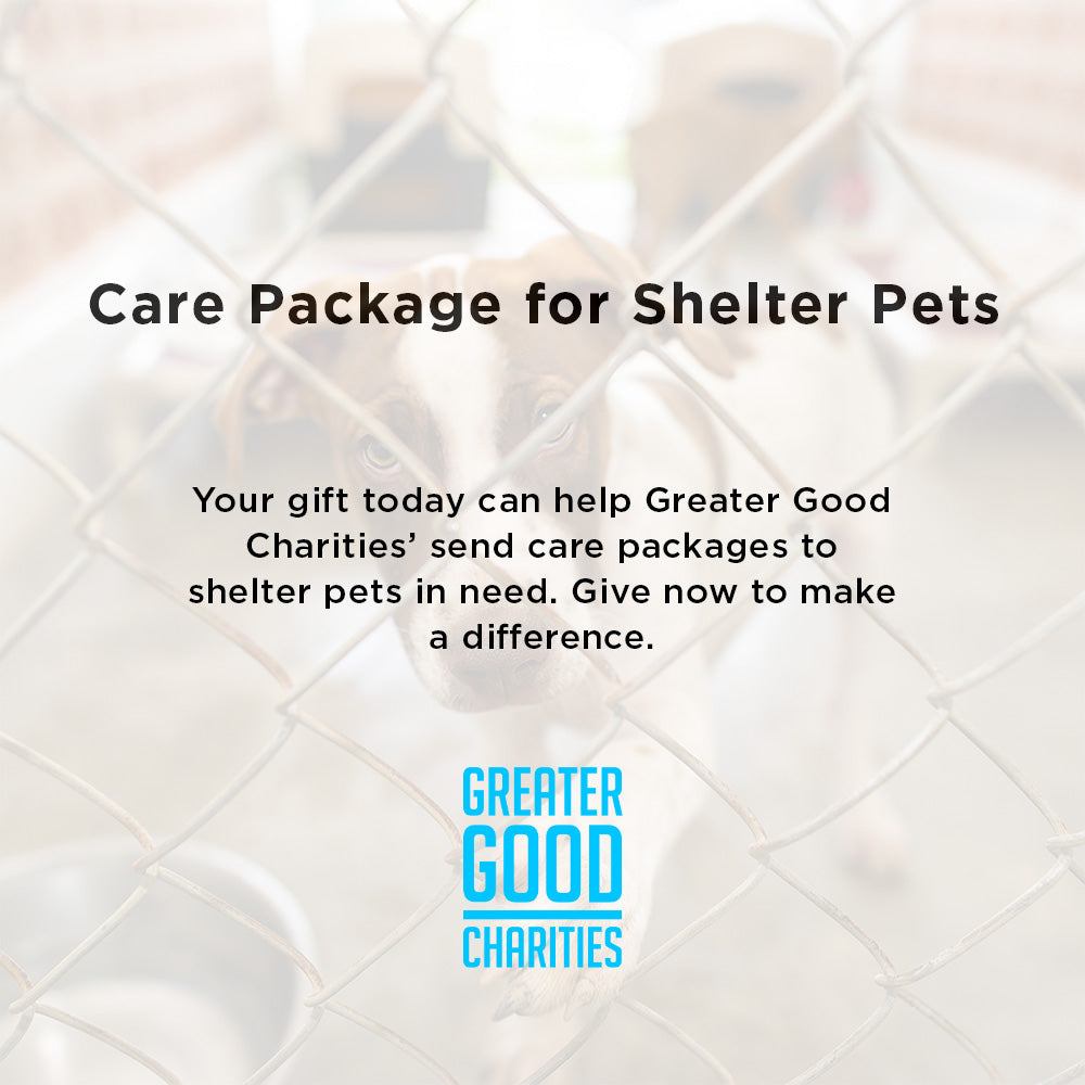 Care Packages for Shelter Pets