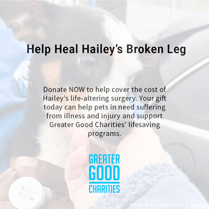Help Heal Hailey's Broken Leg