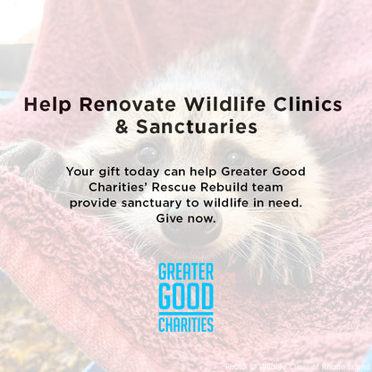 Help Renovate Wildlife Clinics and Sanctuaries