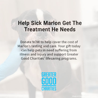 Help Sick Marlon Get the Treatment He Needs