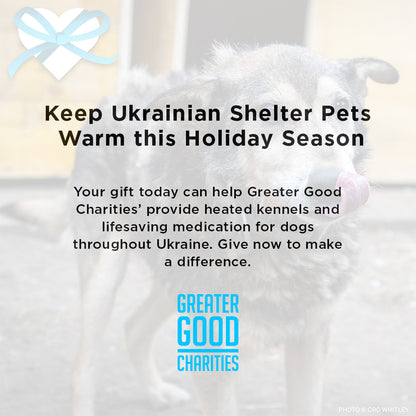 Keep Ukrainian Shelter Pets Warm & Safe