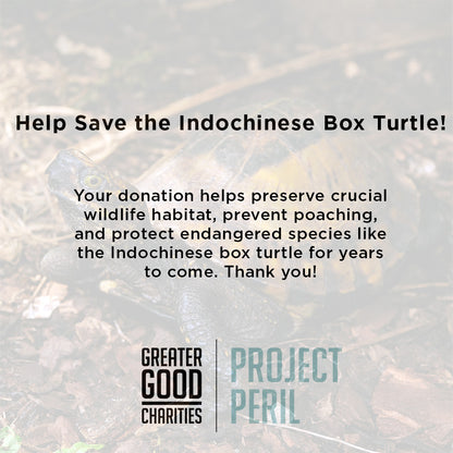 Project Peril: Help Save the Indochinese Box Turtle