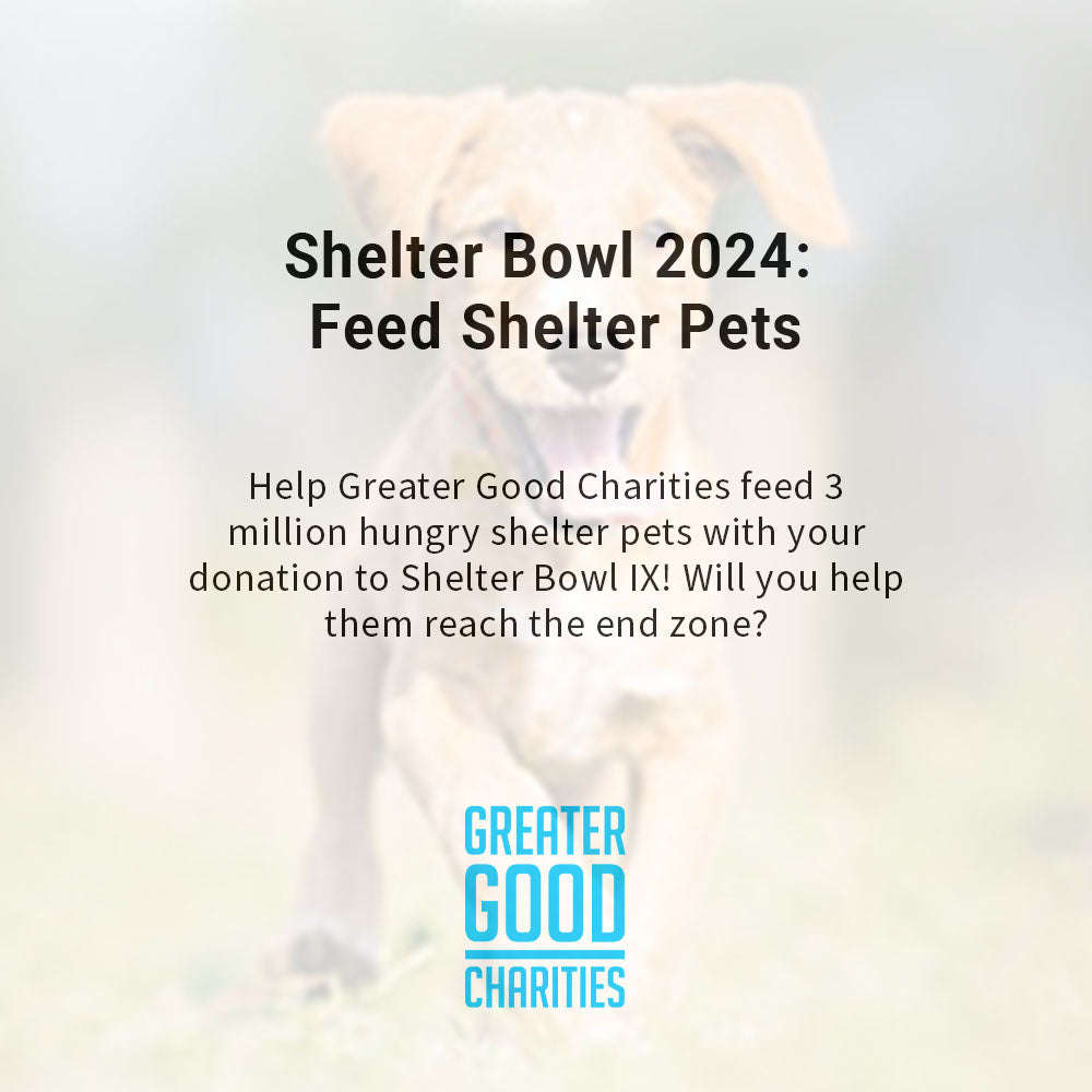 Shelter Bowl 2024: Feed Shelter Animals