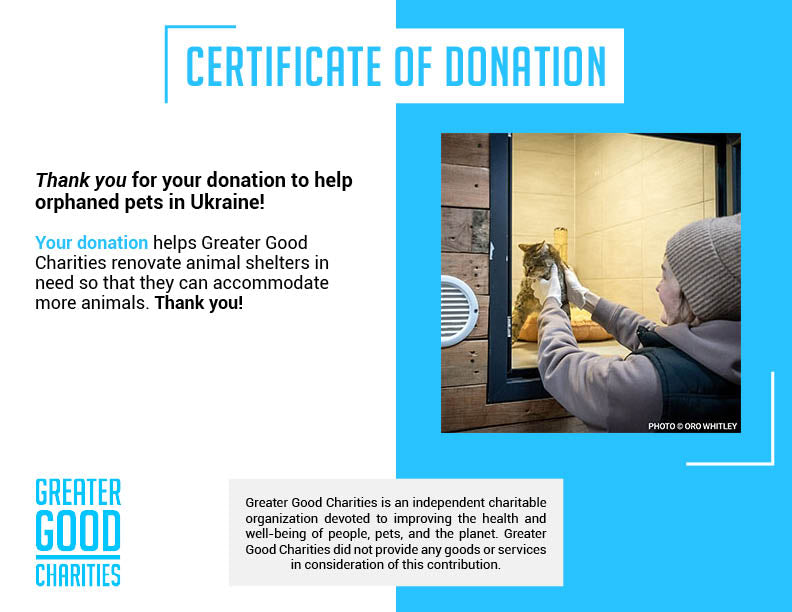 Build a Safe Space for Orphaned Pets in Ukraine