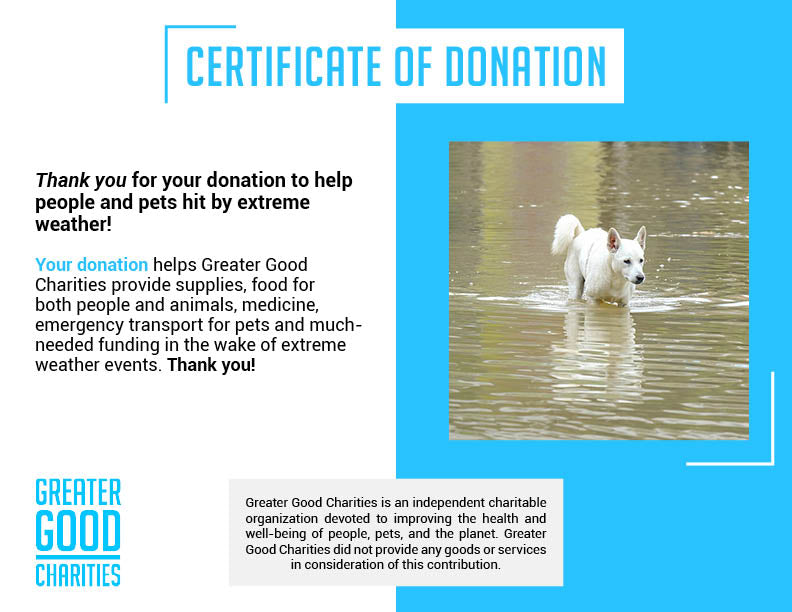 Help People and Pet Victims of Devastating Floods
