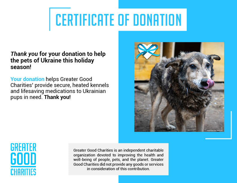 Keep Ukrainian Shelter Pets Warm & Safe