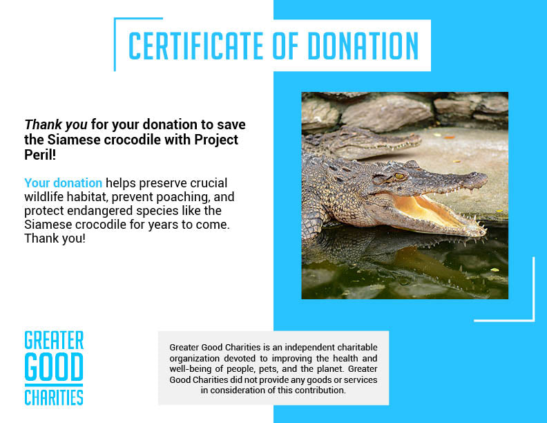 Project Peril: Help Save the Siamese Crocodile