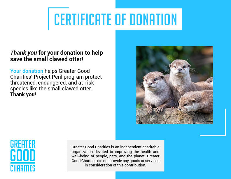Project Peril: Help Save the Small-Clawed Otter