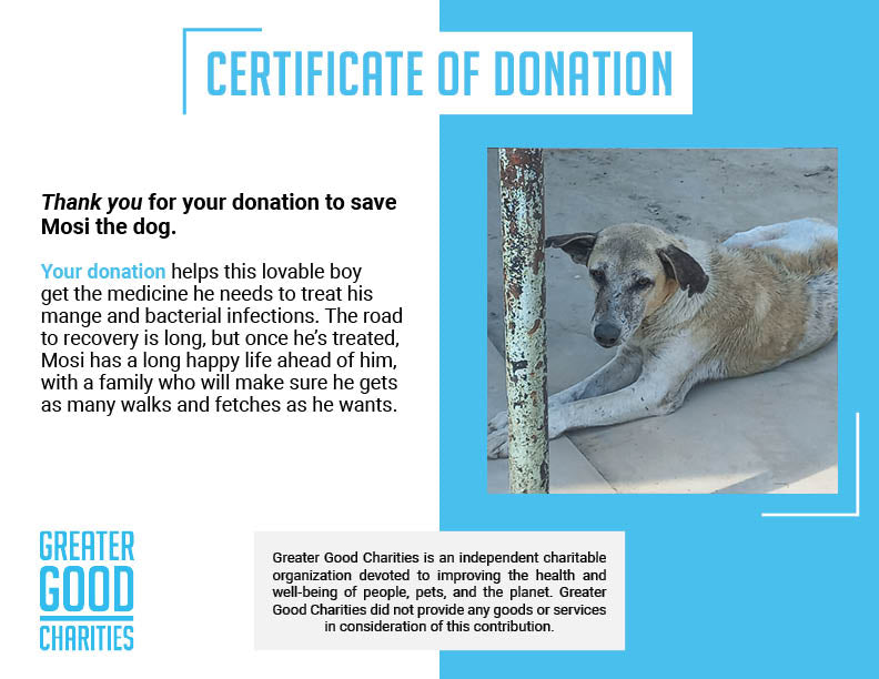 Funded - Save Mosi's Skin From Mange