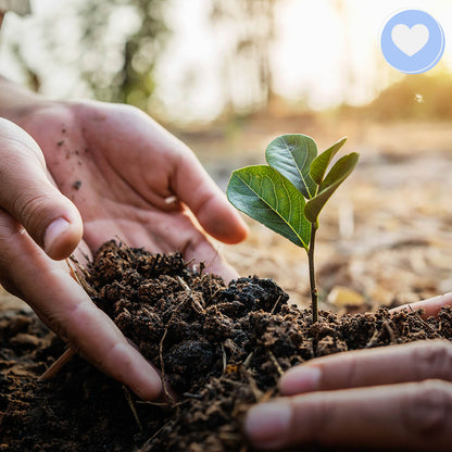 Give the Earth Some Love: Plant a Tree
