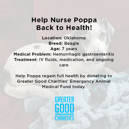 Help Nurse Poppa Back to Health