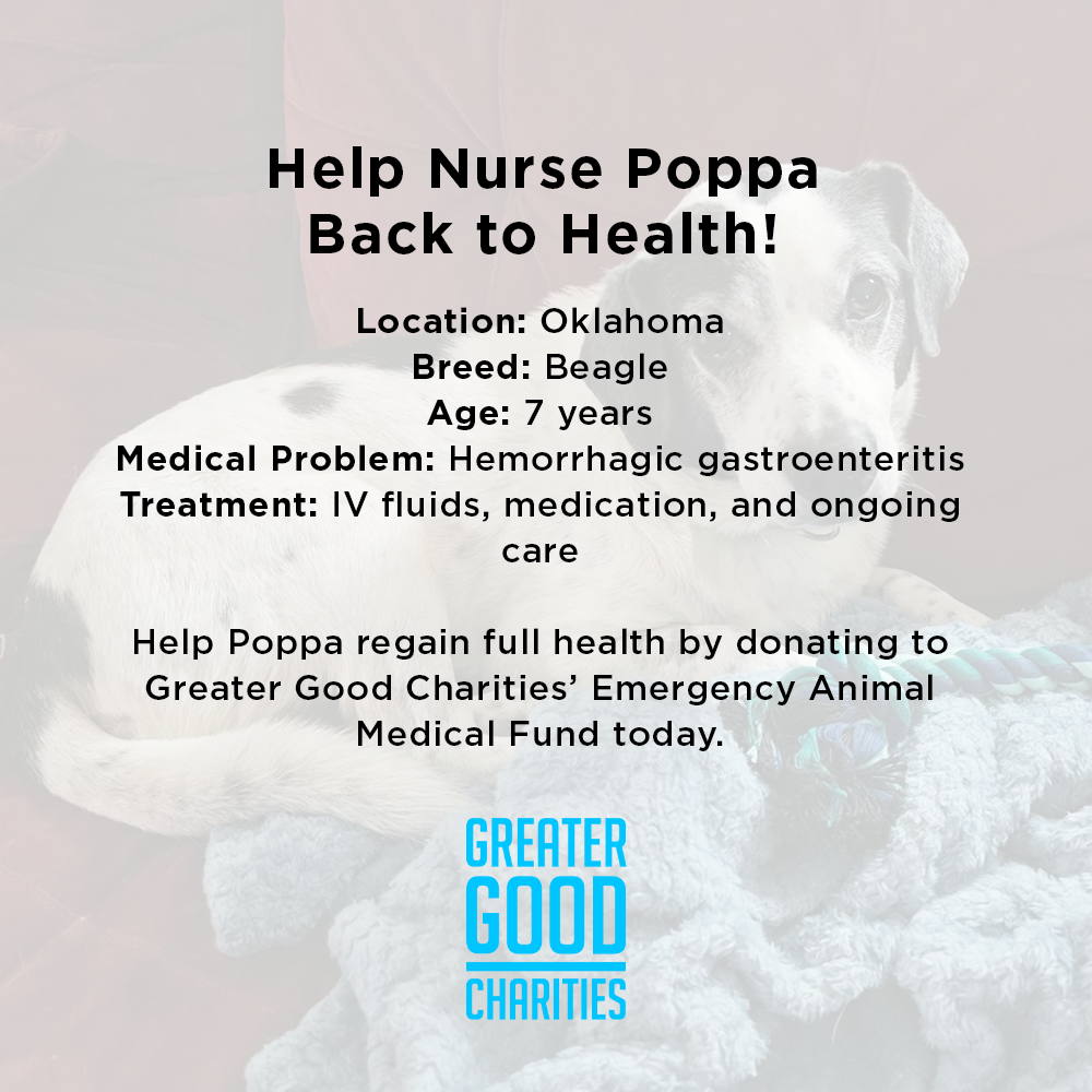 Funded: Help Nurse Poppa Back to Health