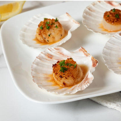 Nantucket Seafood Natural Canape Shells - Set of 4