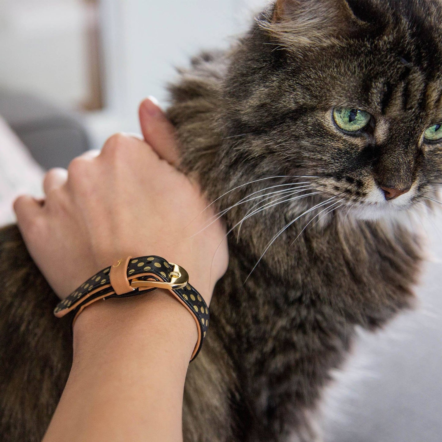 Friendship Cat Collar & Bracelet Set