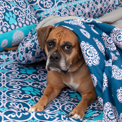 Super Cozy&trade; Perfectly Patterned Paws Sheet Set