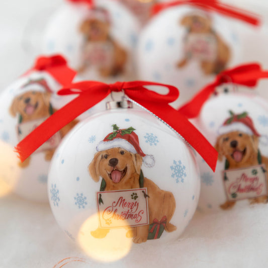 Merry Christmas Pet Ornaments - Set of 6