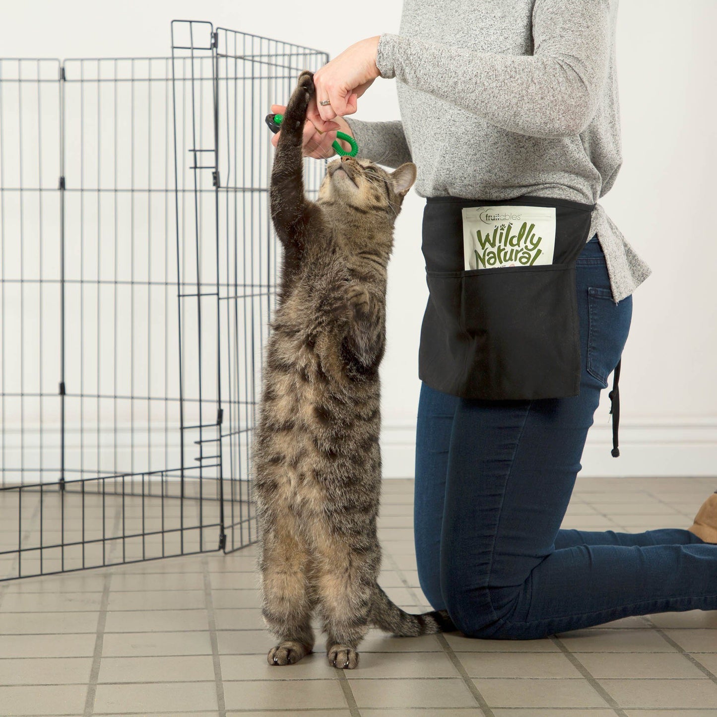 Training Packs To Help Cats & Kittens Get Adopted