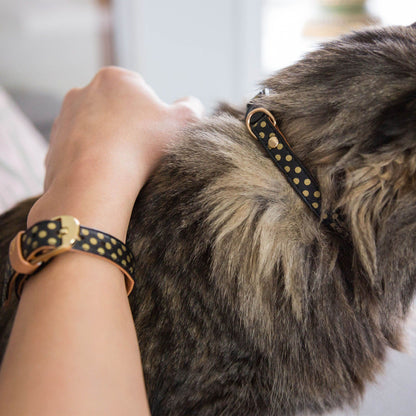 Friendship Cat Collar & Bracelet Set