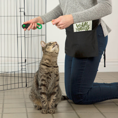 Training Packs To Help Cats & Kittens Get Adopted