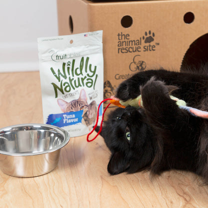 Adoption Kits for Pets To Have a Better Life