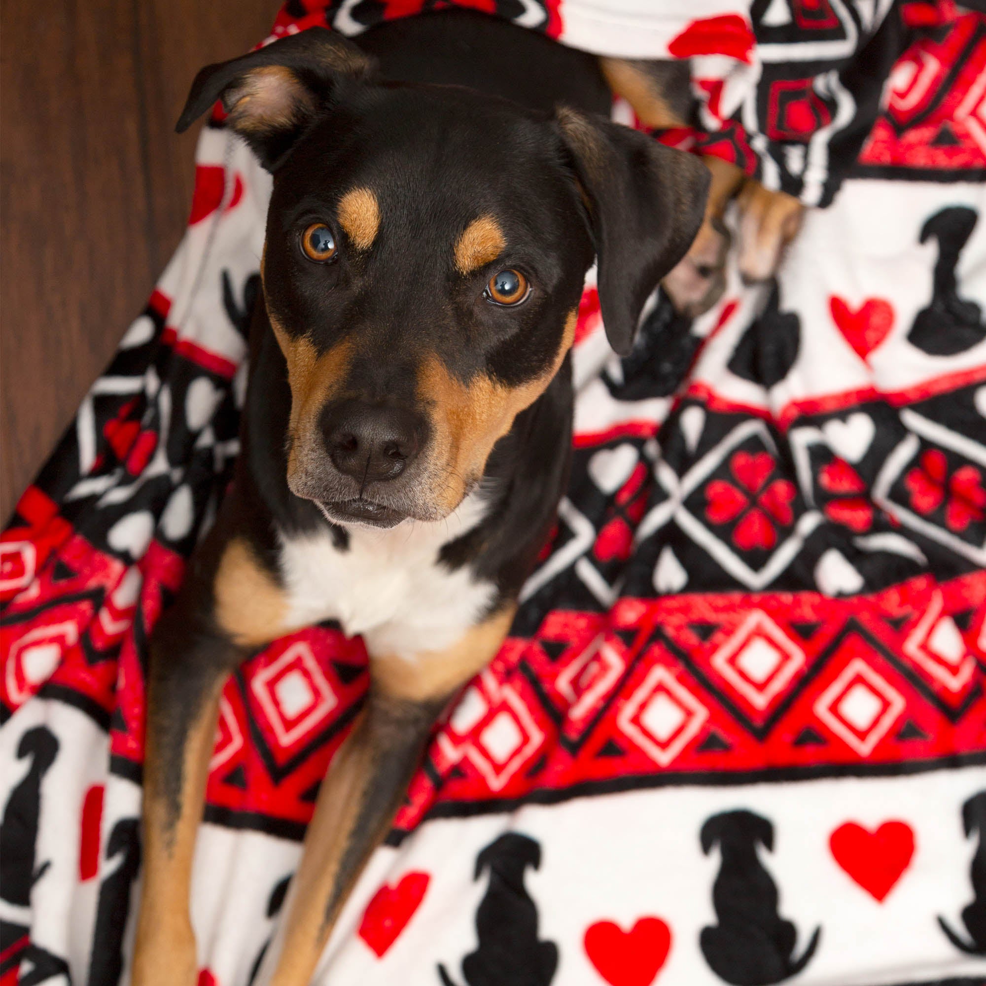 Super Cozy&trade; Fairisle Pets & Paws Throw Blanket