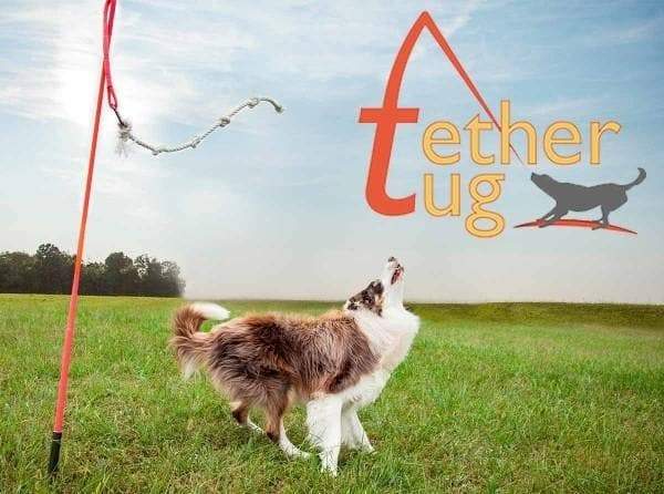 Interactive Tether Tug Toy