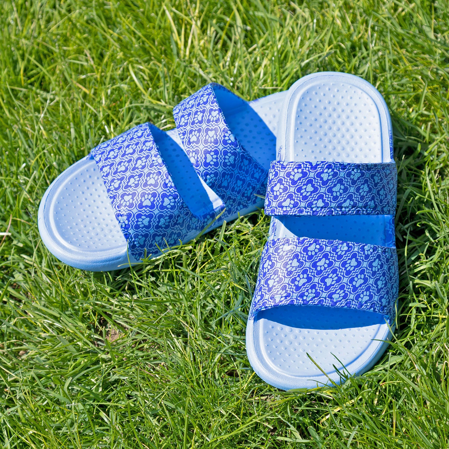 Two Strap Paw Slide Sandals