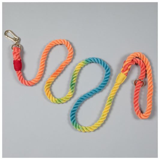 Rainbow Rope Dog Leash - 5 ft