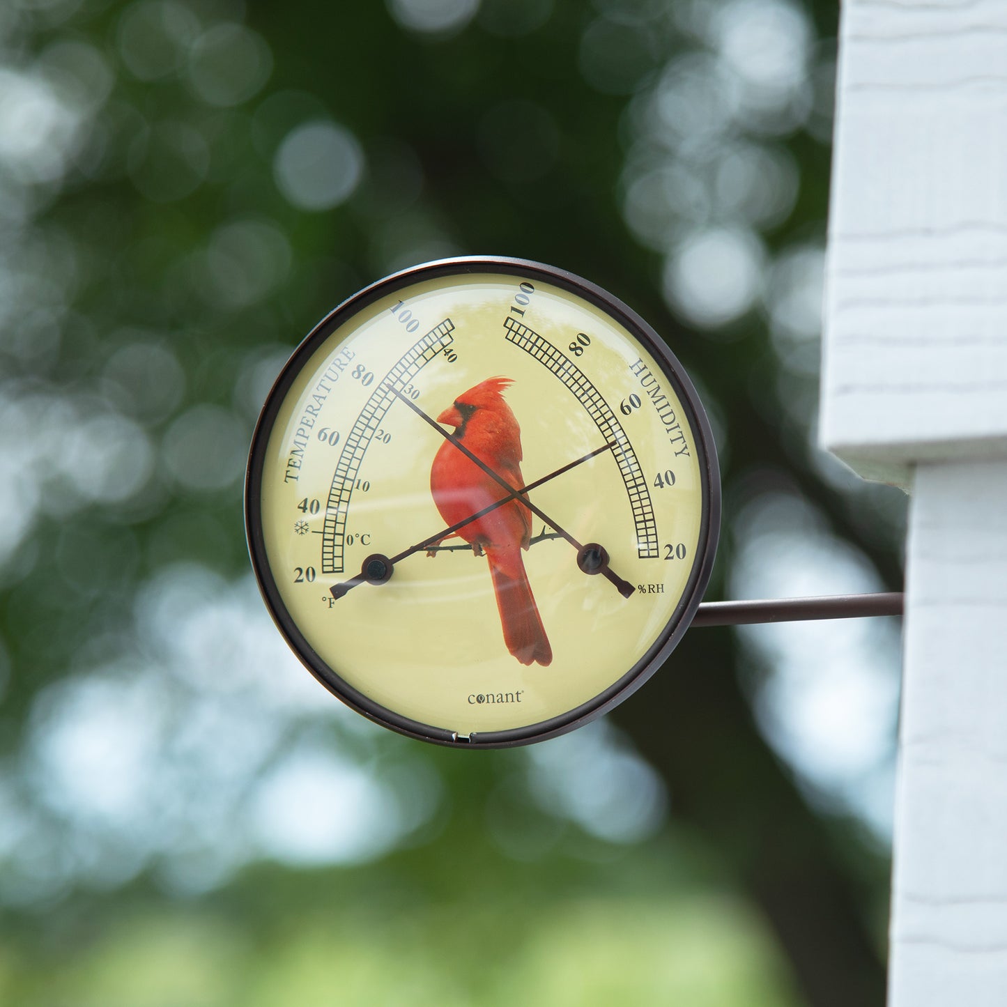 Dial Weather Station