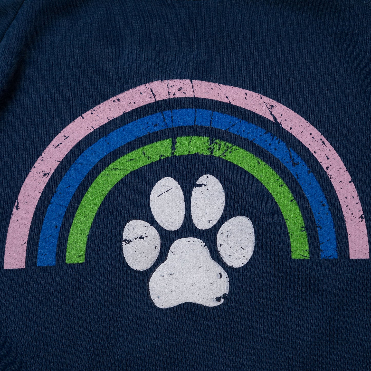 Rainbow & Paw Color-Block Crewneck Sweatshirt