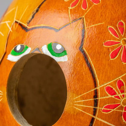 Cat Hand Painted Gourd Birdhouse