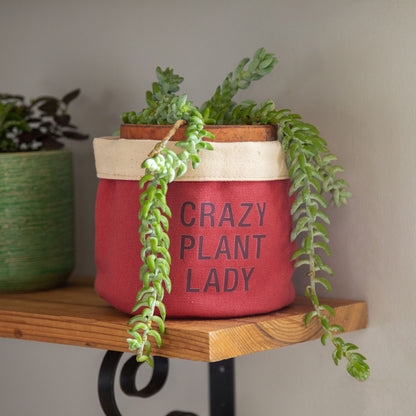 Crazy Plant Lady Indoor Planter Cover