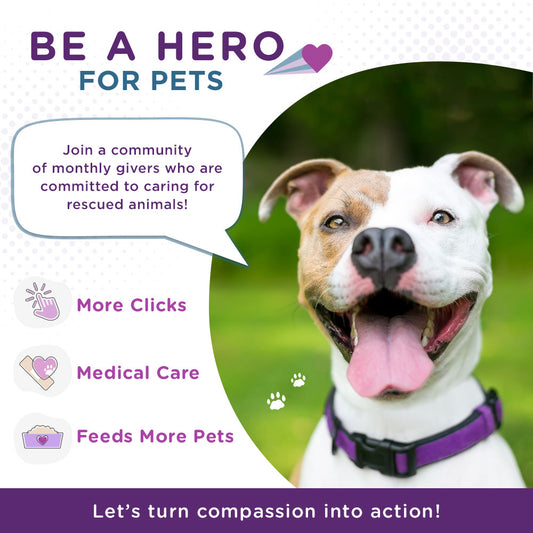 Be a Hero for Pets!