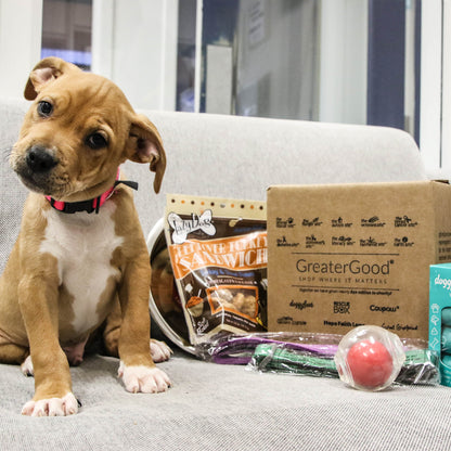 Care Kits for Pet Fosters
