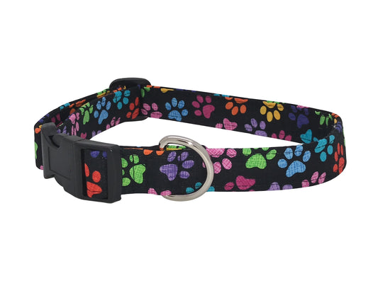 Colorful Paws Cat Safety Collar