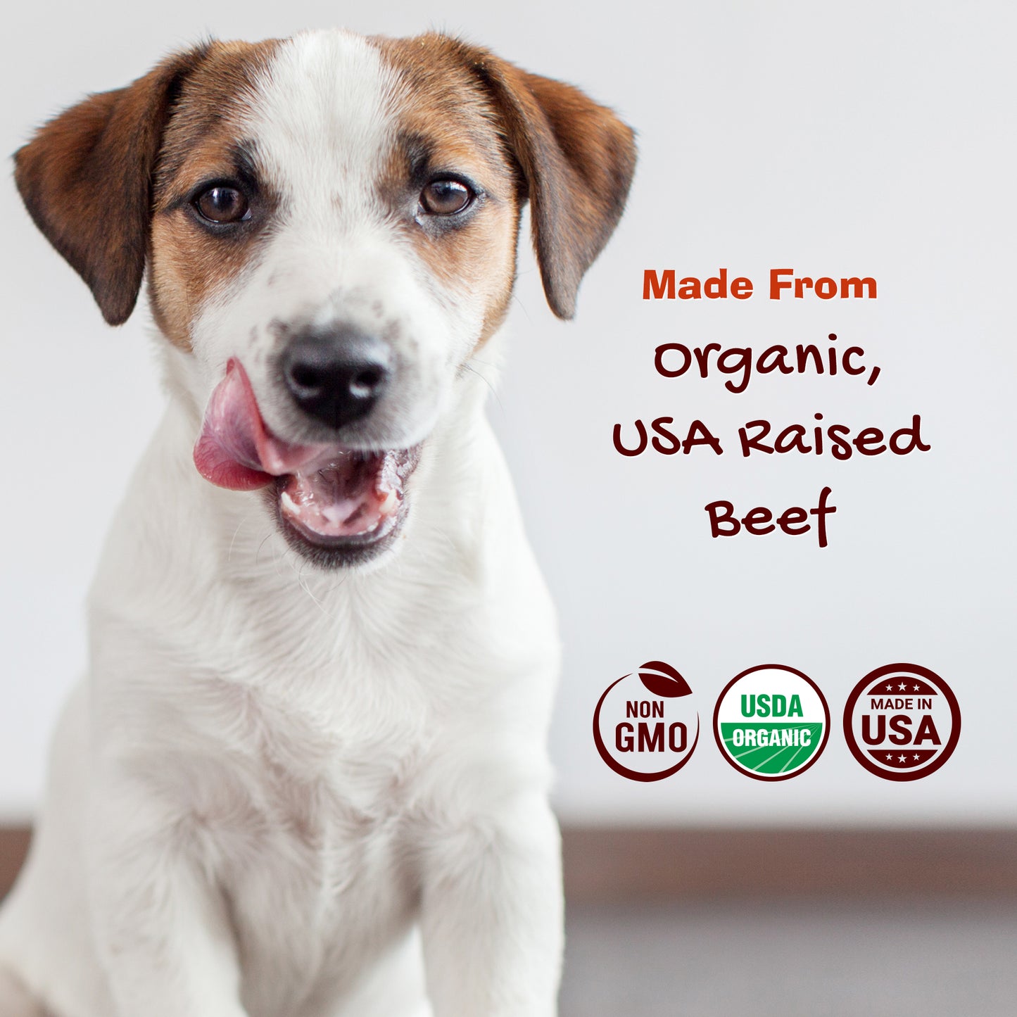 Organic Beef Jerky Jibbs 3-Pack