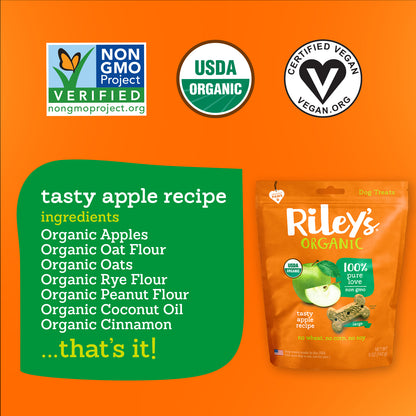 Tasty Organic Apple Baked Biscuits - Large Bone
