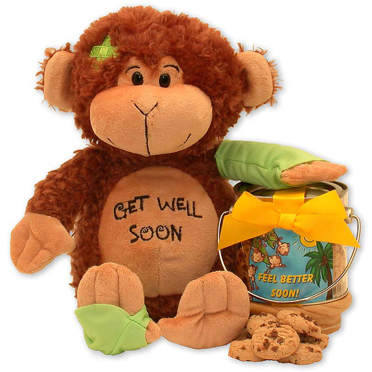 Friend on The Mend Monkey & Cookie Pail