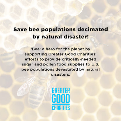 Help Save Bees Devastated by War in Ukraine