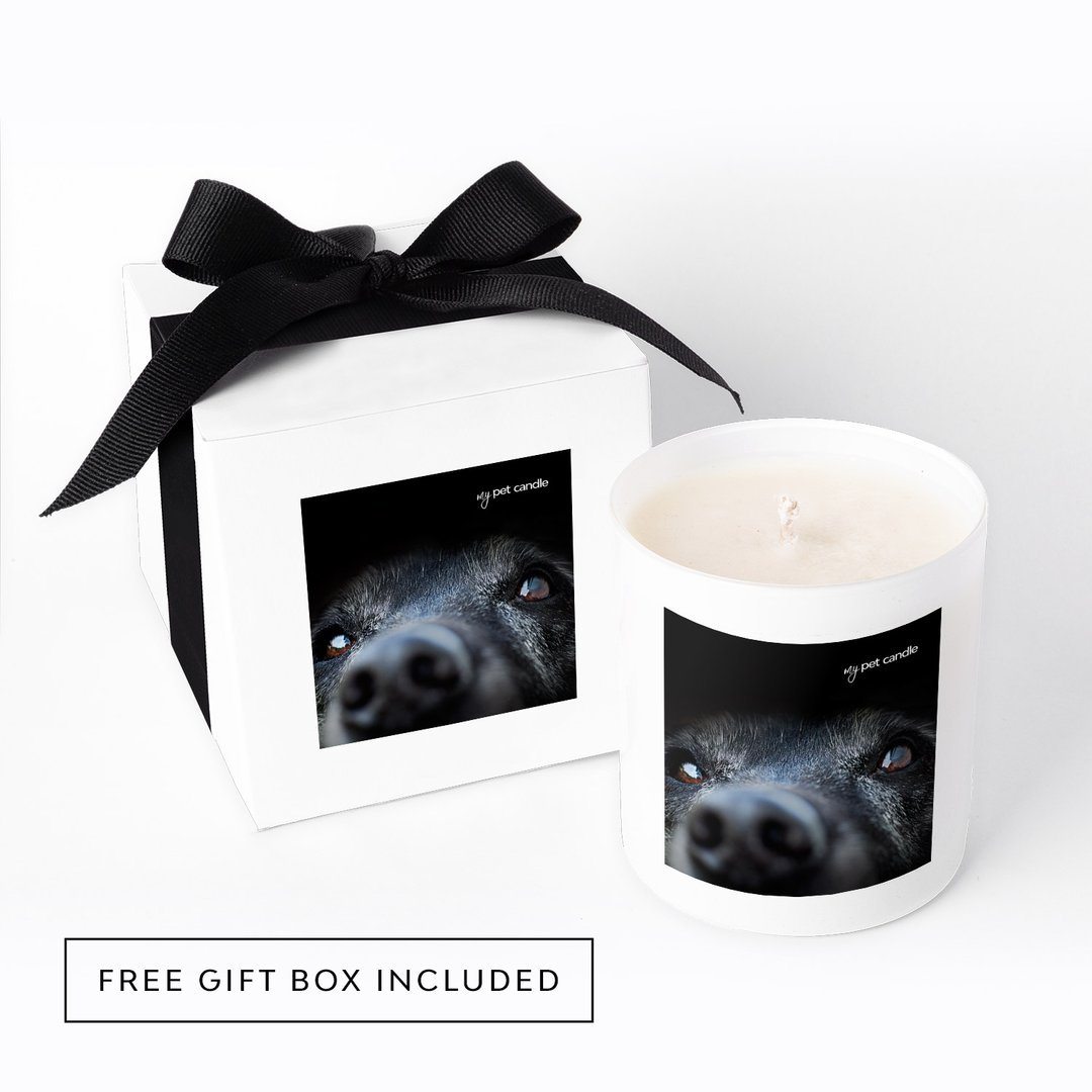 MyPetCandle - Lab Love Soy Wax Candle