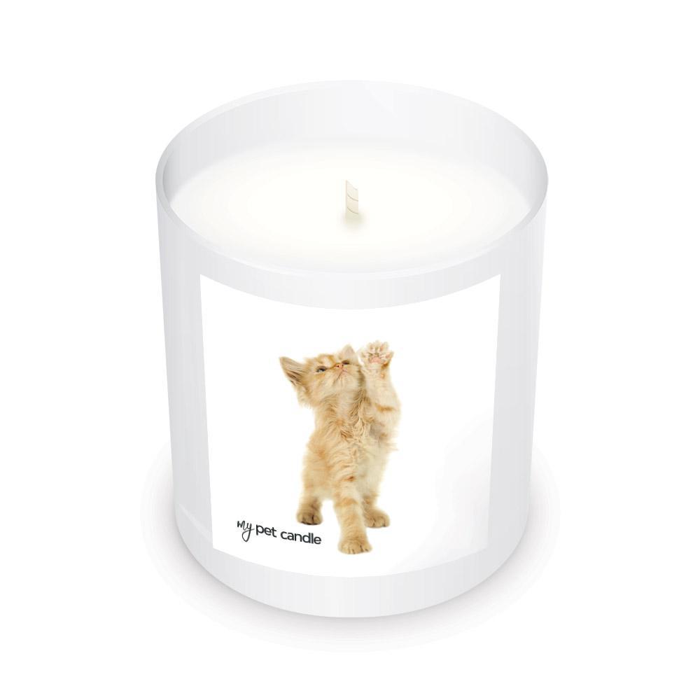MyPetCandle - High Five Kitty Soy Wax Candle