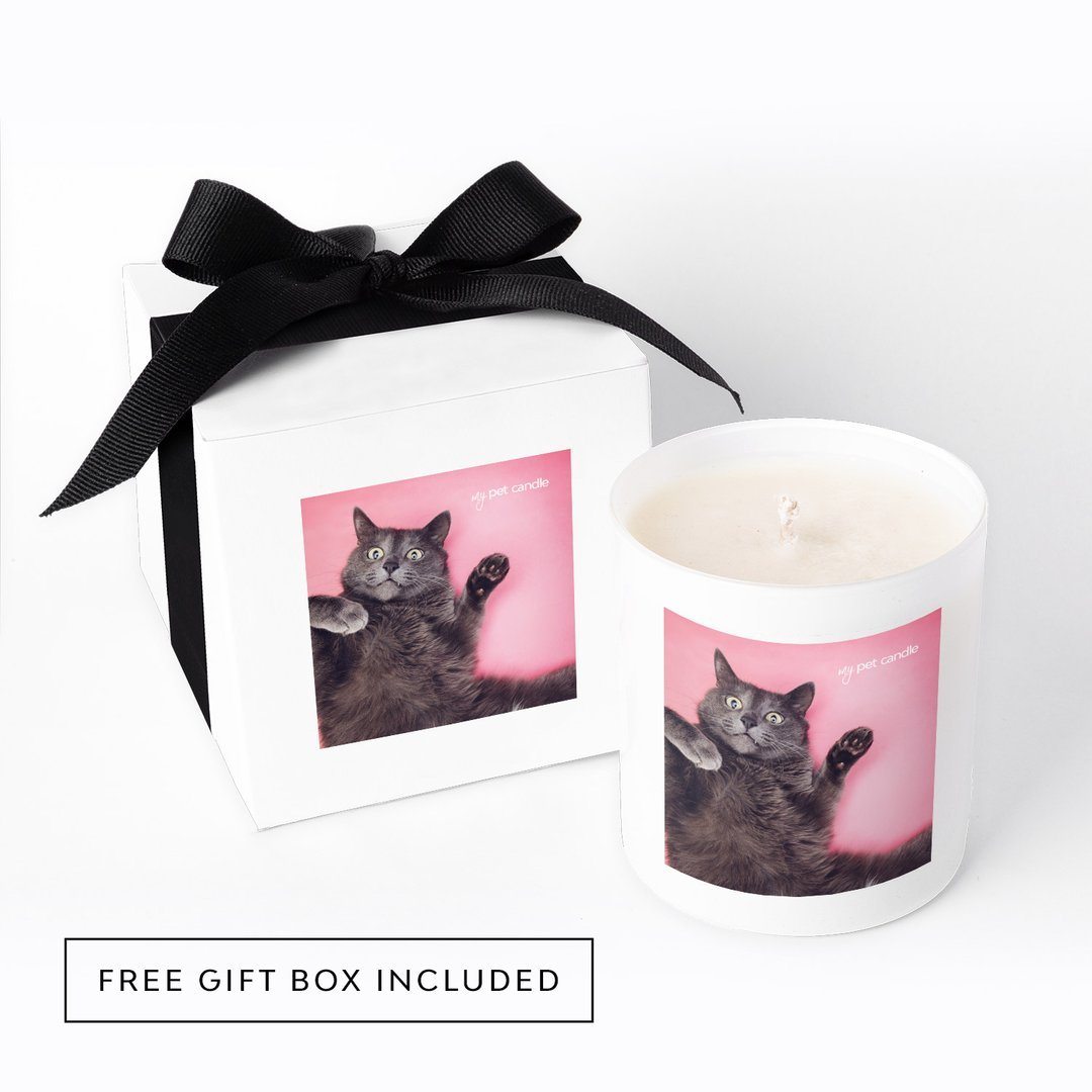 MyPetCandle - Selfie Cat Soy Wax Candle