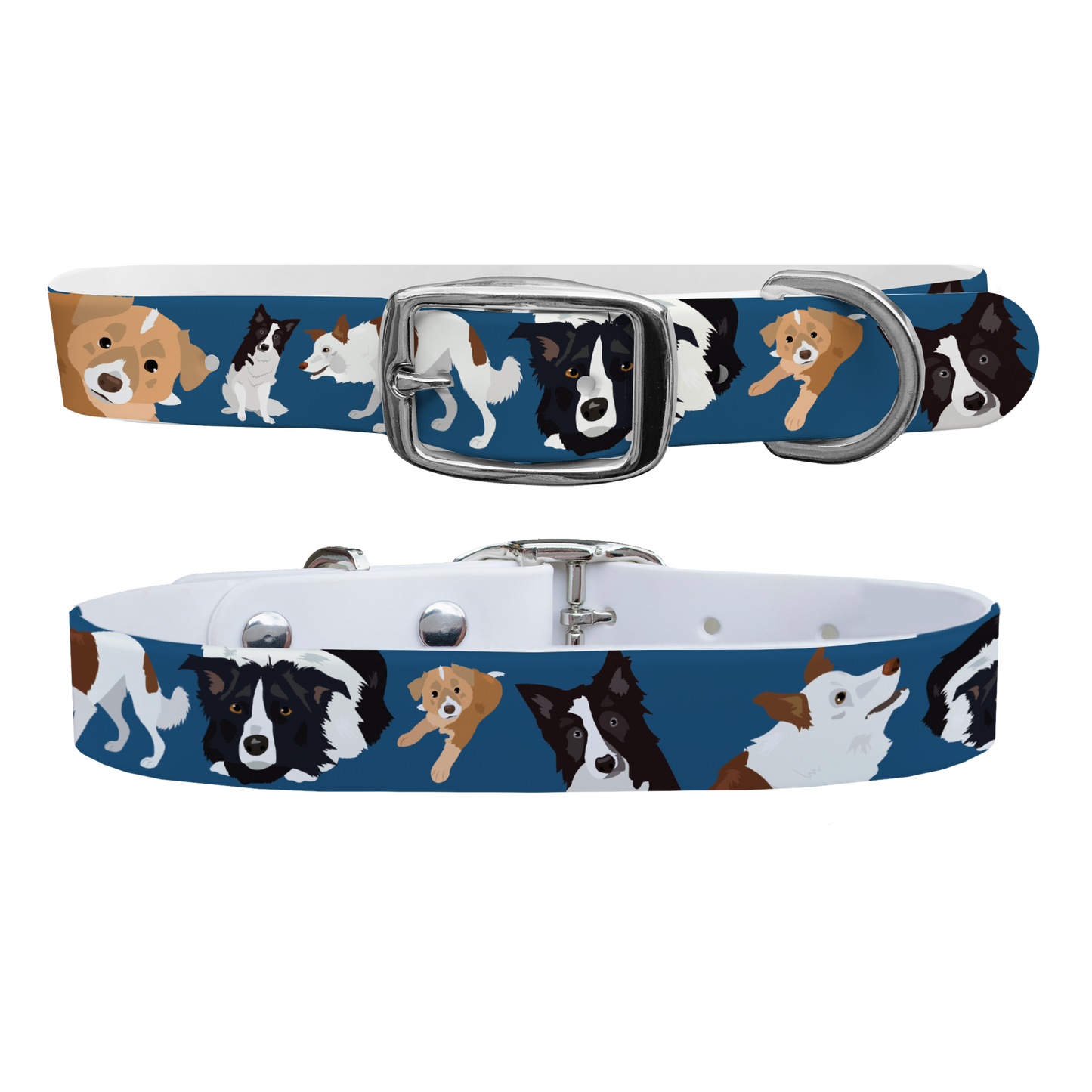 Border Collie Dog Collar With Silver Buckle