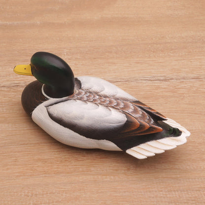 NOVICA - Carved Wood 'Male Mallard' Duck Statuette