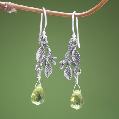 Rainforest Glass & Sterling Silver Dangle Earrings