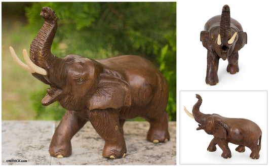 Elephant Rain Tree & Ivory Wood Sculpture
